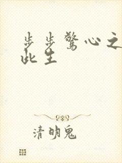 步步惊心之禛曦此生