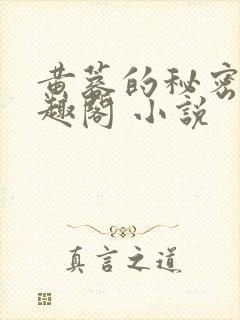 黄蓉的秘密 笔趣阁 小说