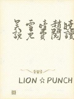 吴雪晴赵晓东小说免费阅读