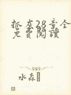 抓灰28章全部免费阅读