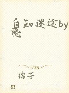 自知迷途by二飞封面