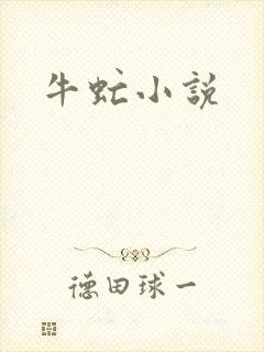 牛虻小说