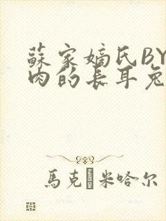 苏家嫡氏BY吃肉的长耳兔