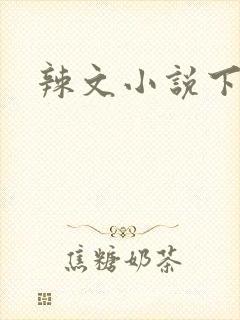 辣文小说下载封面