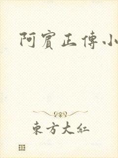 阿宾正传小说封面