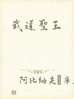 武道圣王封面