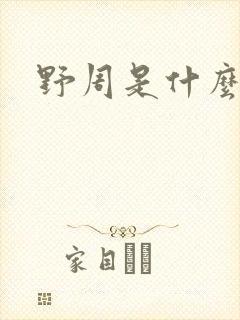 野周是什么意思