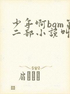 少年啊bgm第二部小说叫什么封面