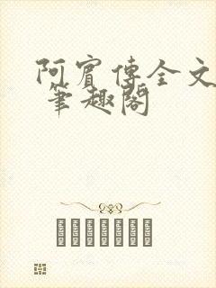 阿宾传全文阅读 笔趣阁