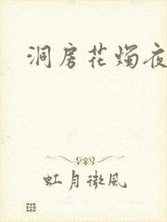 洞房花烛夜小说