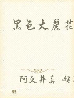 黑色大丽花图片