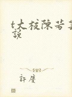t大校陈若芸小说