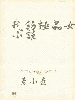 我的极品女老师小说