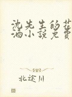 沈先生的花式调酒小说免费阅读