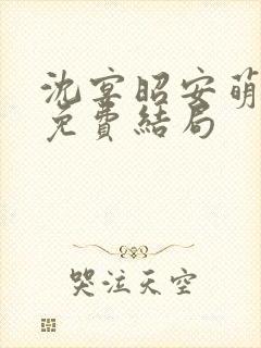 沈宴昭安萌全文免费结局封面