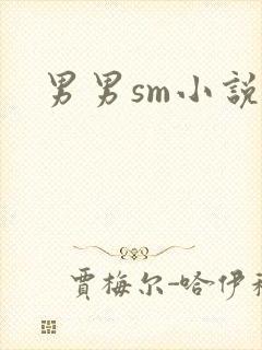 男男sm小说