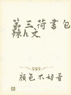 第三荷书包网高辣h文