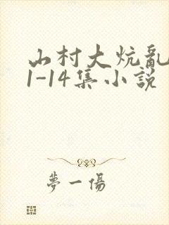 山村大炕乱肉续1-14集小说封面