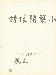 错位关系小说封面