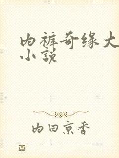 内裤奇缘大团结小说