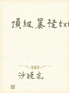 顶级暴徒txt封面