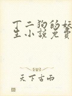 丁二狗的妖孽人生小说免费阅读全文