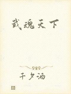 武魂天下