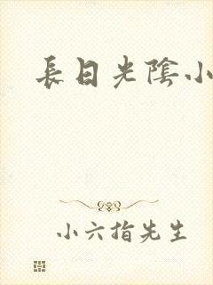 长日光阴小说