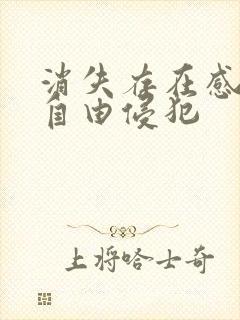 消失存在感消失自由侵犯封面