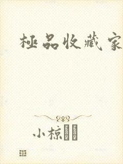 极品收藏家