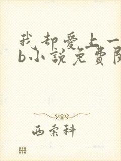 我却爱上一个sb小说免费阅读无弹窗封面