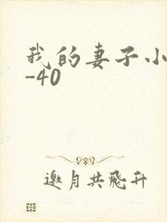 我的妻子小谨1-40封面