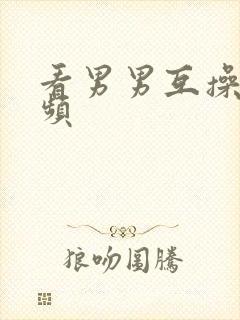 看男男互操的视频