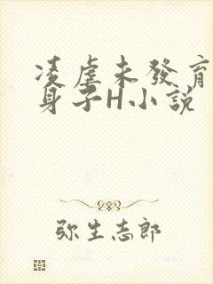 凌虐未发育的小身子H小说封面