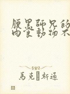 腹黑师兄的日常肉食动物不食草封面