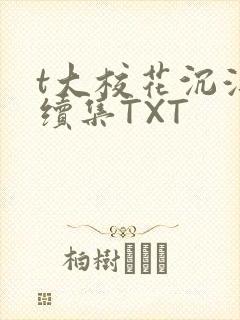 t大校花沉浮录续集TXT封面