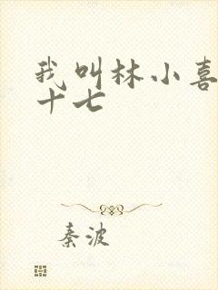 我叫林小喜今年十七封面