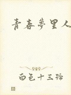 青春梦里人封面