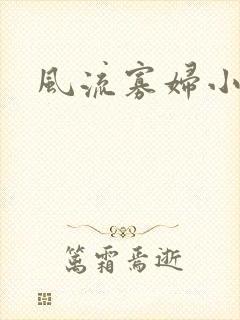 风流寡妇小说