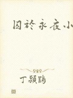囚于永夜小说