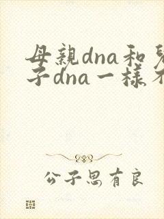 母亲dna和儿子dna一样不