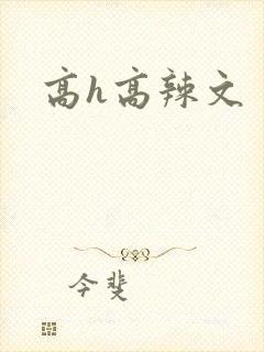 高h高辣文