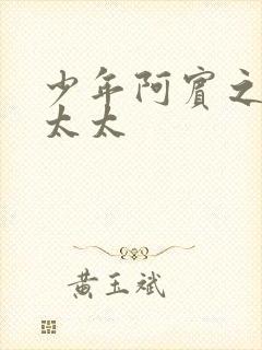 少年阿宾之房东太太