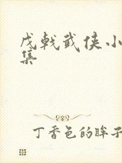 戊戟武侠小说全集