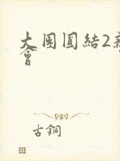 大团圆结2亲情会