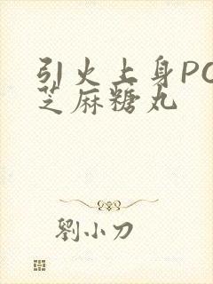 引火上身POP芝麻糖丸