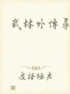 武林外传寻宝封面