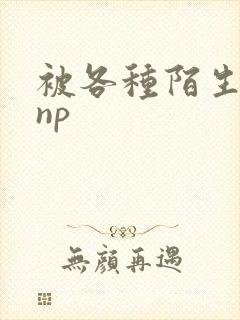 被各种陌生人 np封面