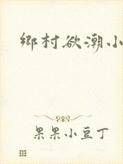 乡村欲潮小说封面