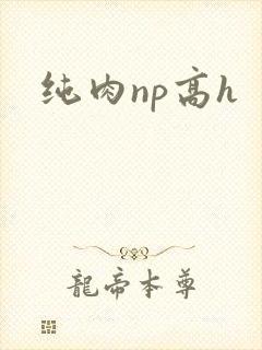 纯肉np高h